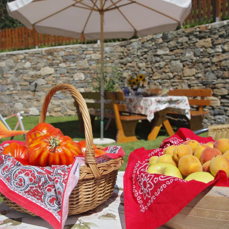 Obst und Gemüse frisch geerntet in unserem Garten