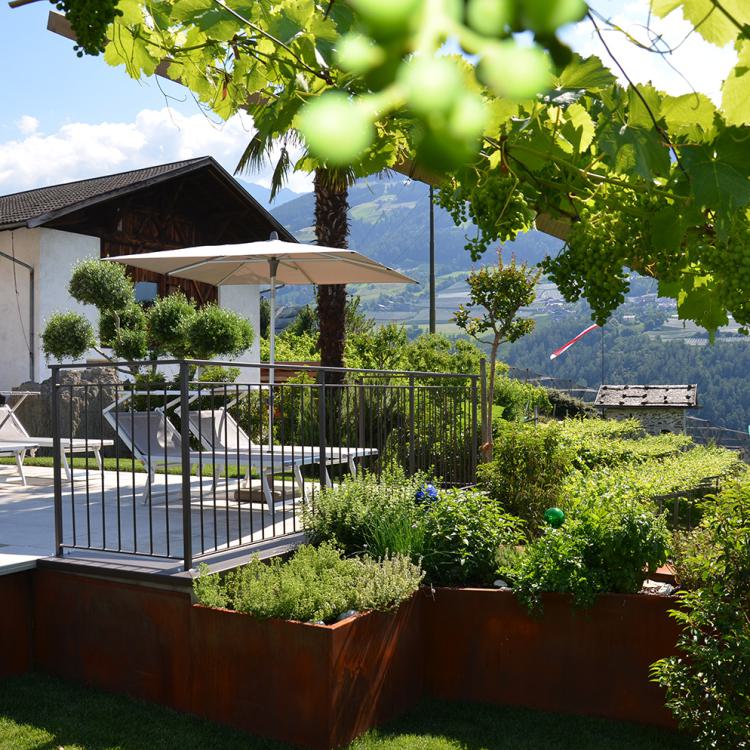Sonnenterrasse mit Poolblick, Weinreben und Panorama auf Kräutergarten am Mayerhof in Kuens bei Meran