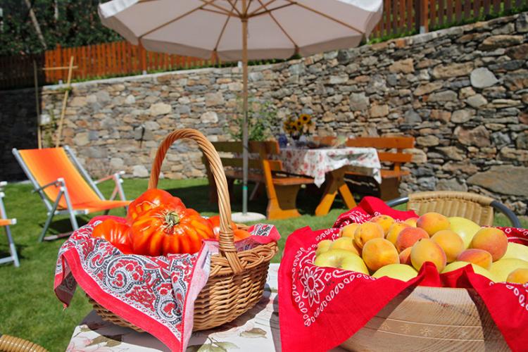 Obst und Gemüse frisch geerntet in unserem Garten