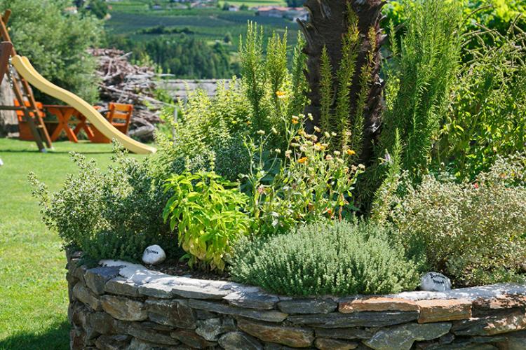 Il nostro orto con erbe fresche per i nostri ospiti
