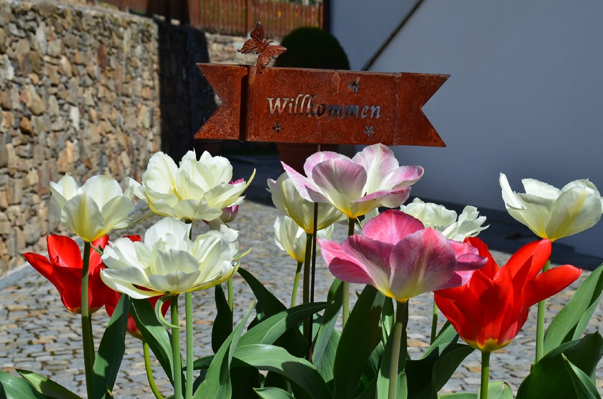 Frühlingserwachen am Mayerhof