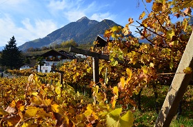 Herbst am Mayerhof