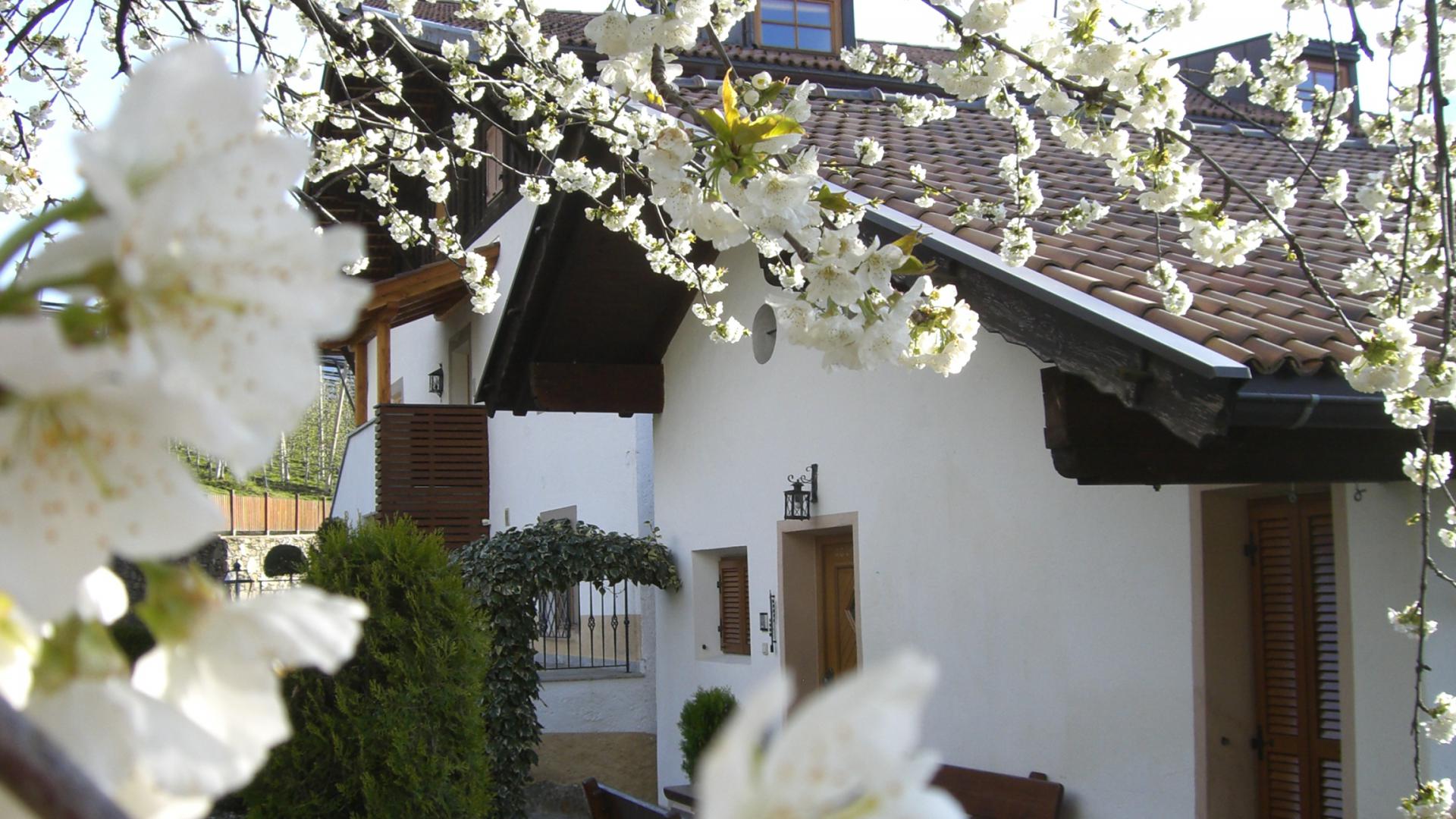 Ferienhaus Mayerhof in Kuens bei Meran/Südtirol