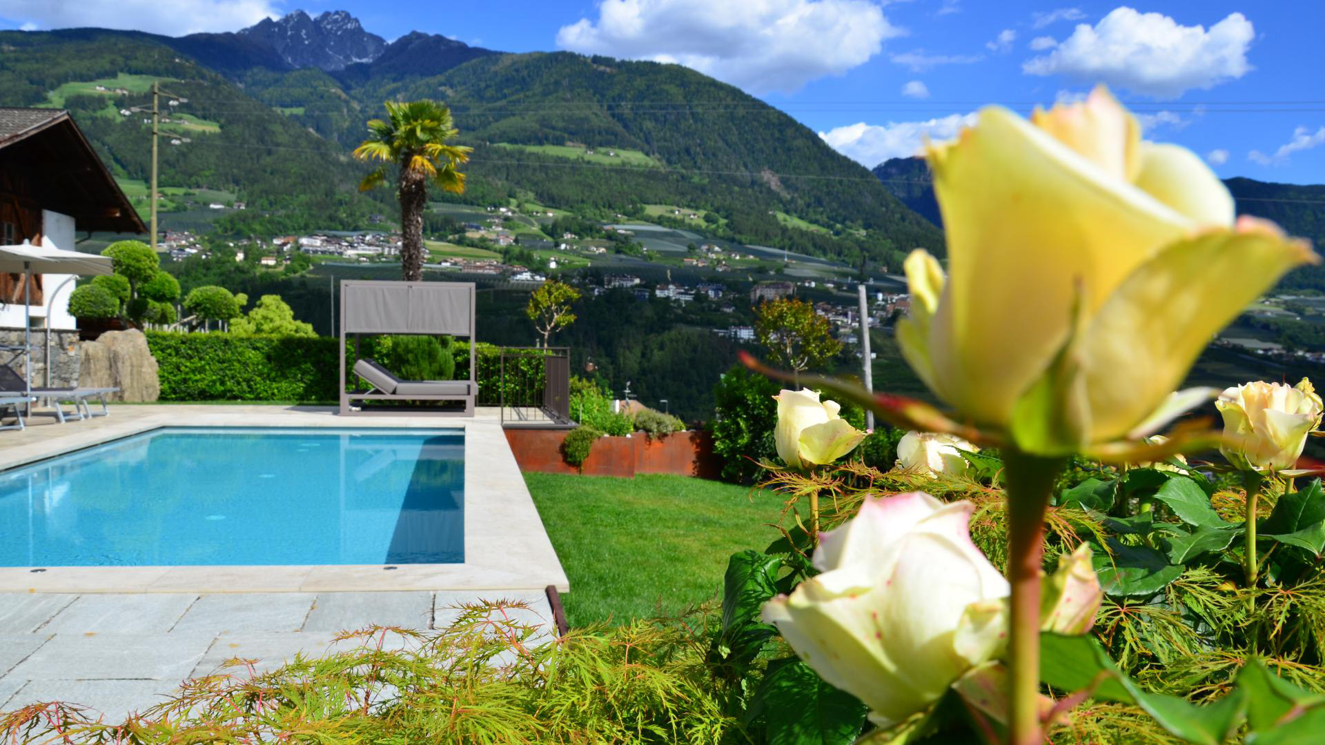 Beheizter Salzwasserpool am Mayerhof in Kuens mit cremefarbenen Rosen im Vordergrund und weitem Panoramablick auf das Meraner Becken und die Alpen