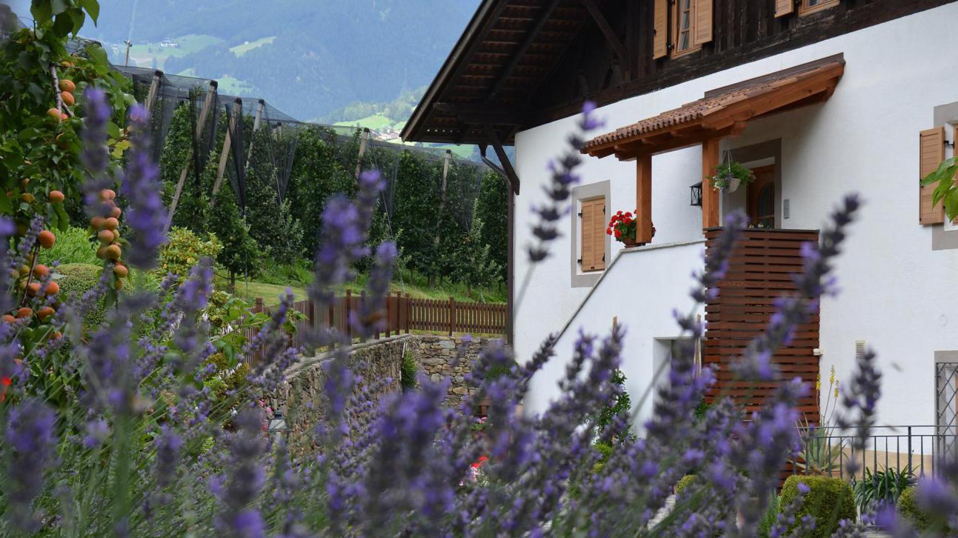 Der Mayerhof in Kuens, Meran, Südtirol