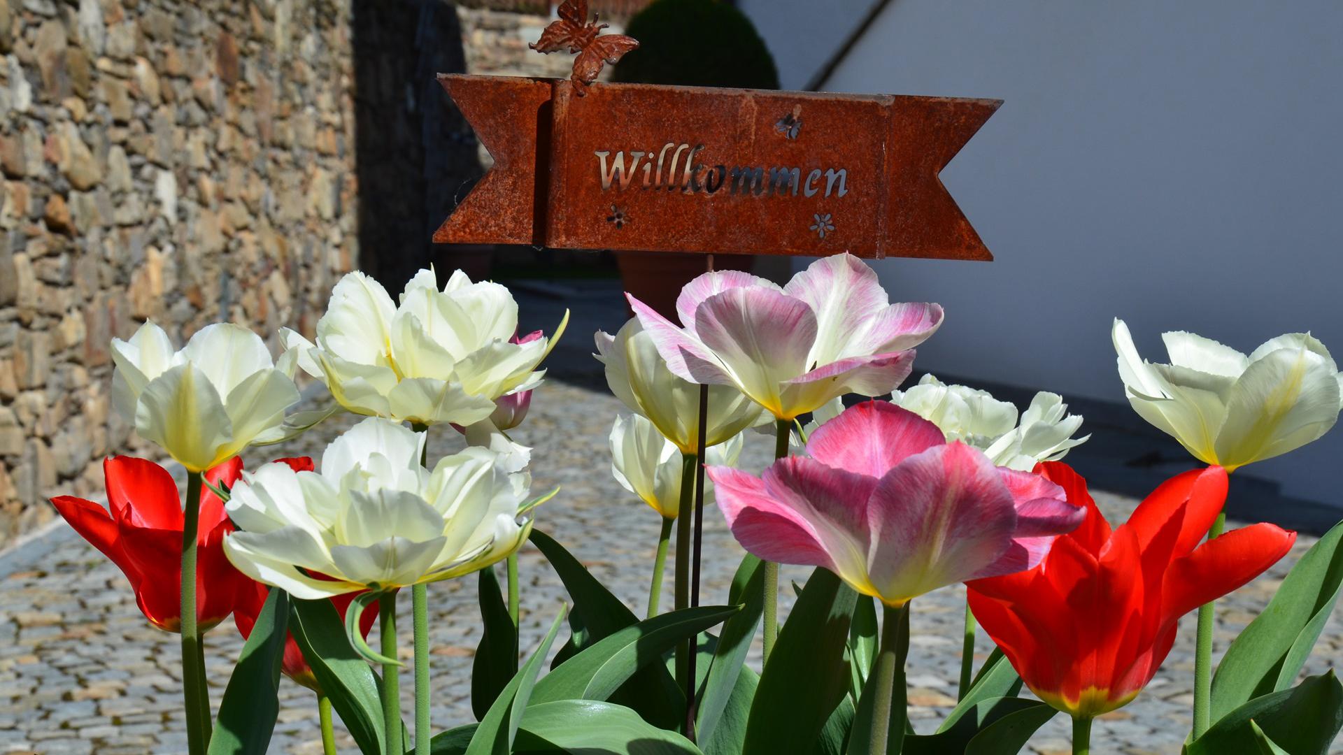 Willkommensschild aus Rost-Metall zwischen bunten Frühlingstulpen am Eingang des Mayerhofs in Kuens bei Meran